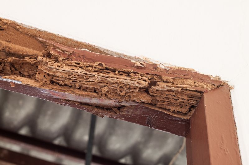 Wood Frame Damage